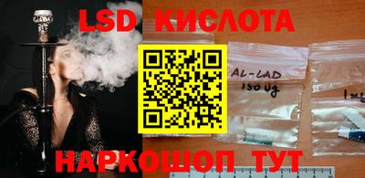 амф Гай