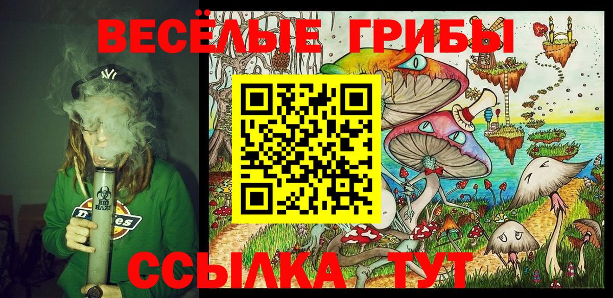 Галлюциногенные грибы мухоморы Белорецк